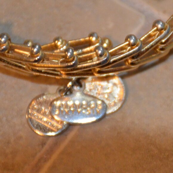 Alex and Ani Gold tone Link bracelet - Picture 3 of 4